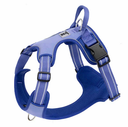 No-pull dog harness and leash