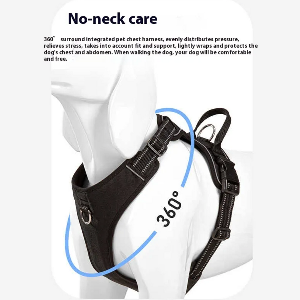 No-Pull Dog Harness & Leash Set
