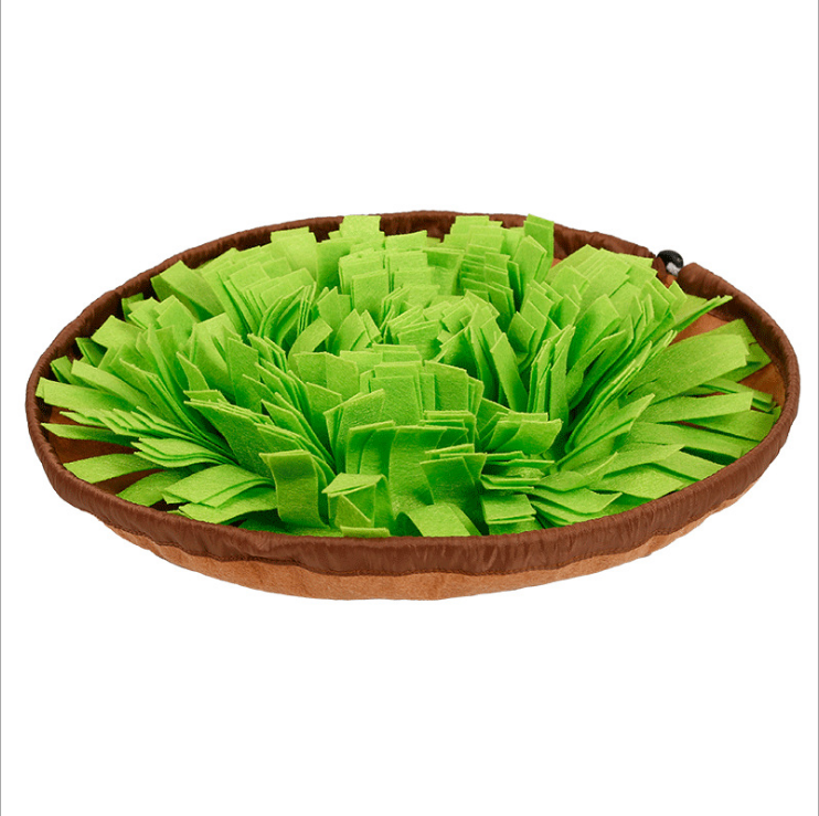 Snuffle Mat & Slow-Feed Bowl