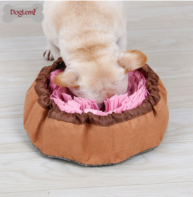 Snuffle Mat & Slow-Feed Bowl