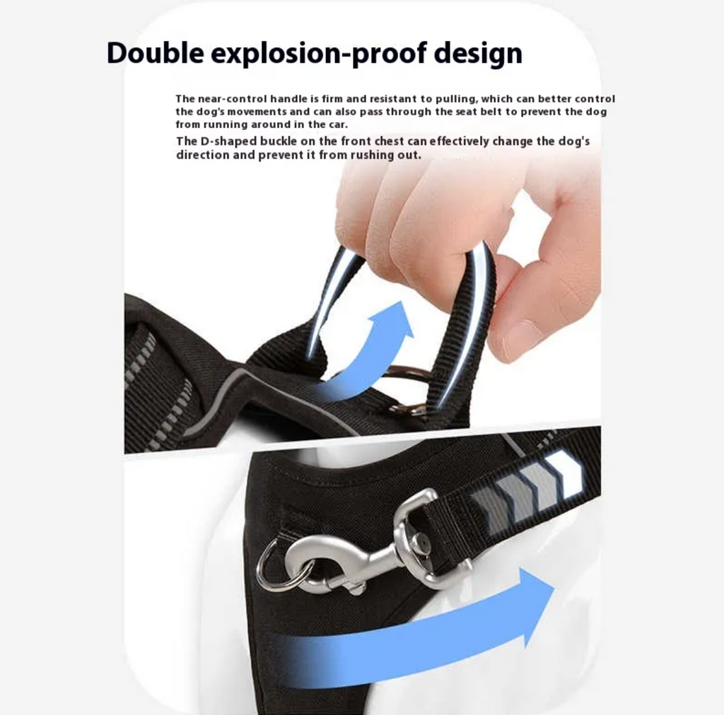 No-Pull Dog Harness & Leash Set